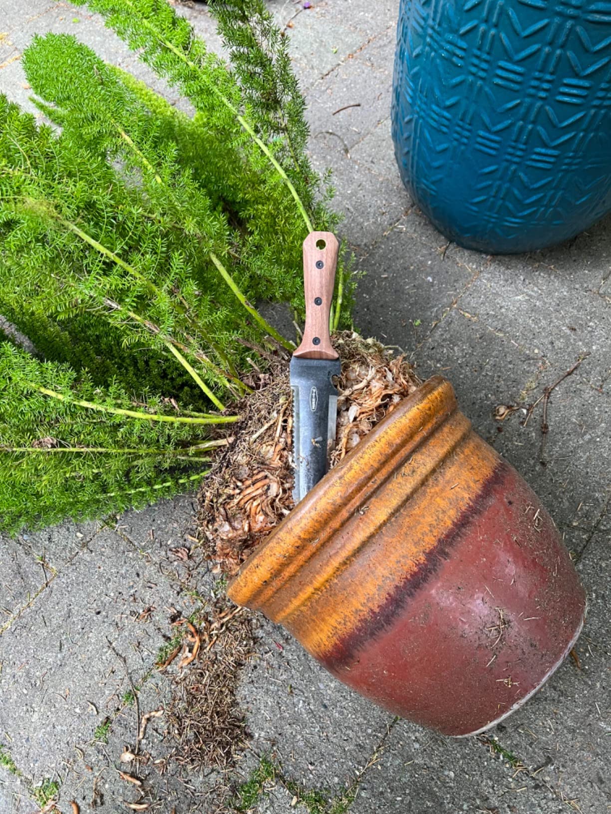 Hori hori garden knife customer review photo 1